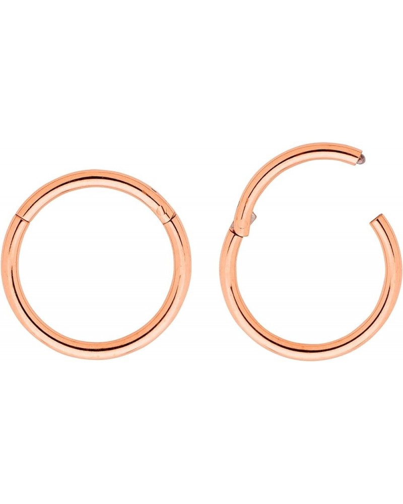 2PCS 20G Surgical Steel 6mm - 10mm Hinged Hoop Segment Septum Cartilage Helix Tragus Nose Ring Unisex Sleeper Earrings 6mm Ro...