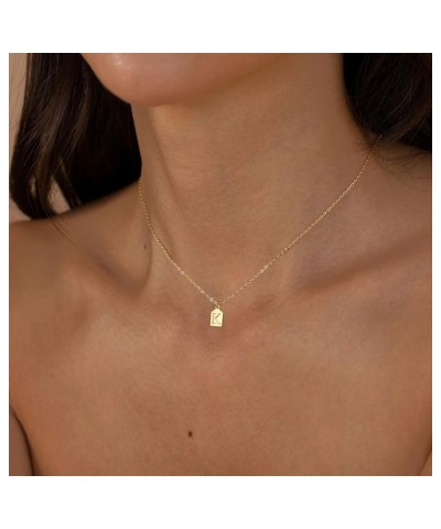 Dainty Gold Necklace for Women 14K Gold Plated Initial Necklaces for Women A-Z Letter Pendant Necklace Trendy Personalized Na...