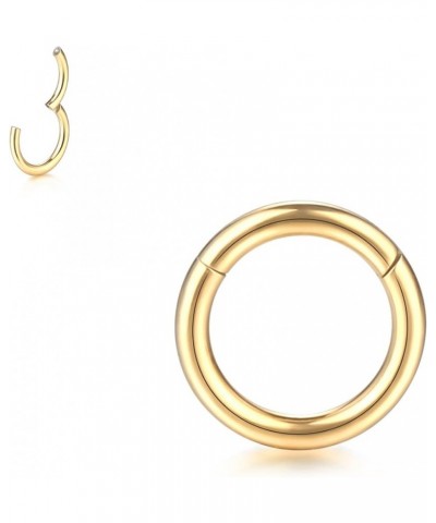 316L Surgical Steel Septum Nose Rings 18G 16G 14G Nose Rings Hoops Hinged Segment Ring Cute Cartilage Helix Earring Nose Pier...