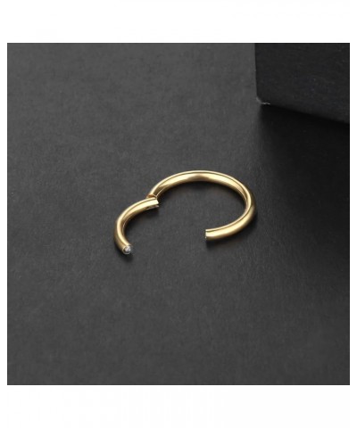 316L Surgical Steel Septum Nose Rings 18G 16G 14G Nose Rings Hoops Hinged Segment Ring Cute Cartilage Helix Earring Nose Pier...