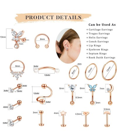 16G Cartilage Earrings Stud Hoop for Women Surgical Steel Forwards Helix Earring Hoop Rook Daith Conch Earrings Eyebrow Rings...