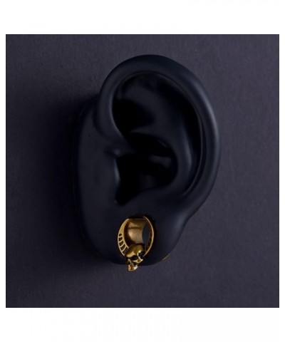 2PCS Punk Skull Ear Tunnels Brass Vintage Double Flared Plugs Cool Gothic Goat Head Ear Gauges Stretcher Piercings Gauge 0g t...