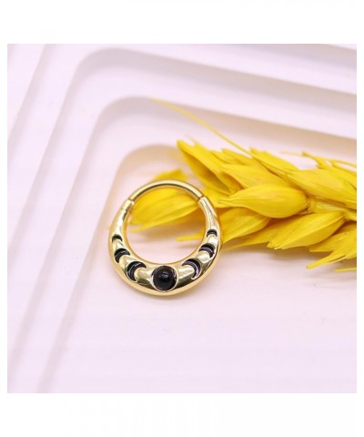 16G 316L Colorful Septum Rings Hoop 8mm/10mm Stainless Steel Segment Nose Rings Cartilage Clicker Hoop Earrings for Rook, Dai...