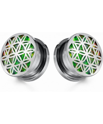 2PCS 8mm-25mm Stainless Steel Ear Gauges Screwed Flesh Tunnels Stretcher Piercing Jewelry for Women 00g-10mm 1 Silver $10.59 ...