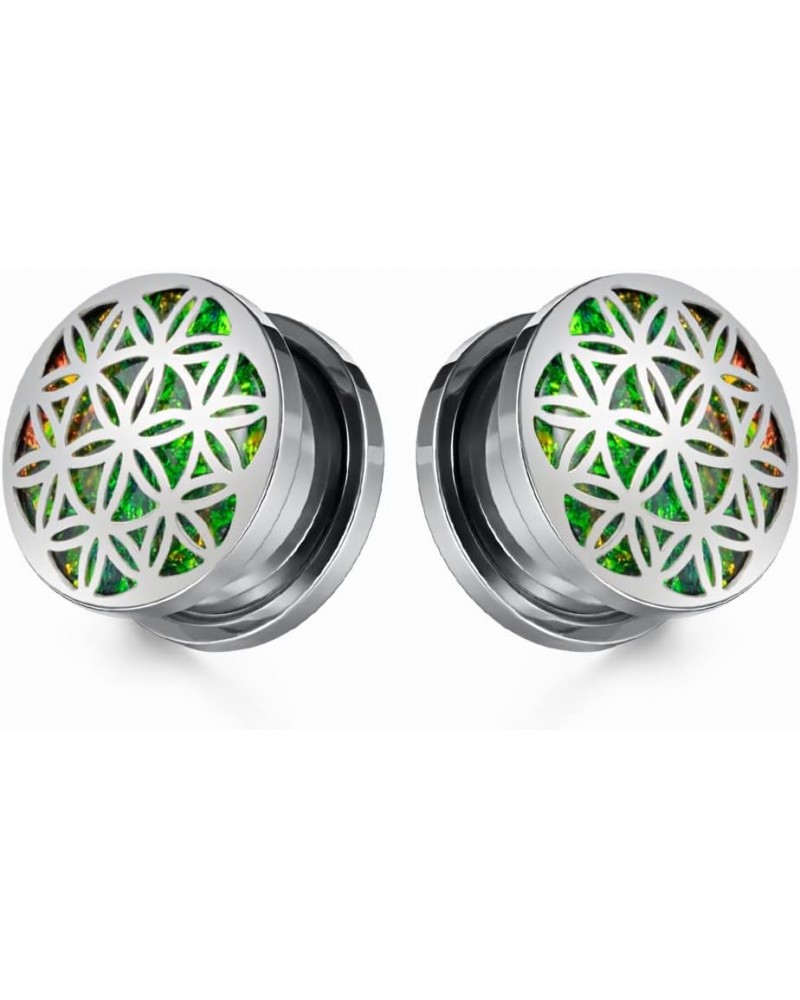 2PCS 8mm-25mm Stainless Steel Ear Gauges Screwed Flesh Tunnels Stretcher Piercing Jewelry for Women 00g-10mm 1 Silver $10.59 ...