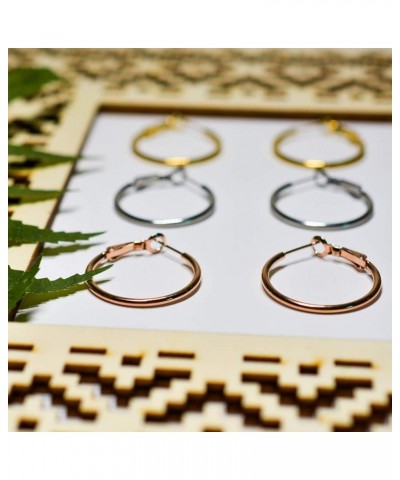 316L Stainless Steel Hoop Earring Set 30 40 50 60 70MM 2MM Thick Silver, Gold, and Rose Gold - 4 Pairs for the Price of 3 70M...