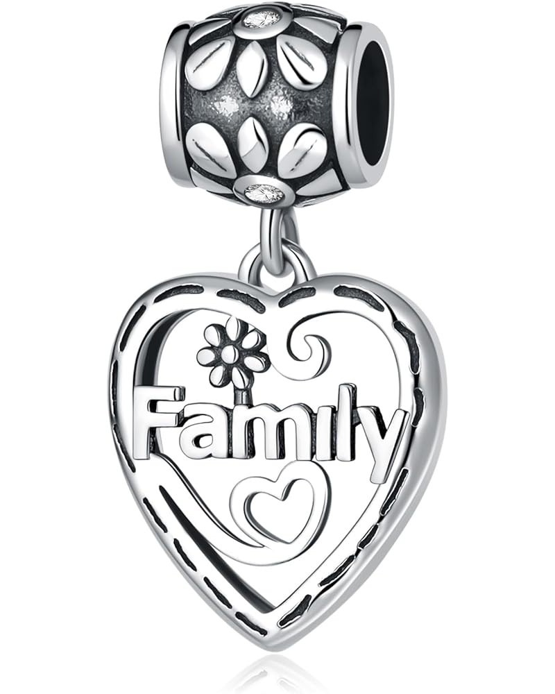 Family Charms for Woman 925 Sterling Silver Love Heart in Your Hands Charms Jewelry Beads DIY Gifts for Women Pandora Bracele...