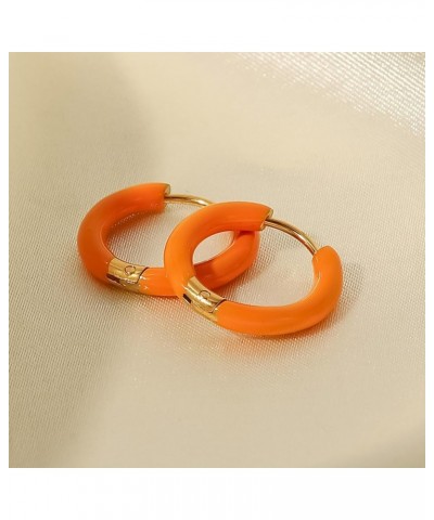 Colorful Hoop Earrings for Women Chunky Hoop Earrings Huggie Hoop Earrings Retro Earrings Neon Earrings Wedding Prom Jewelry ...