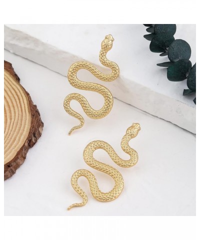 Snake Earrings for Women Silver Snake Earrings Dangle Gold Snake Drop Earrings Black Snake Earrings Snake Jewelry Serpent Ear...