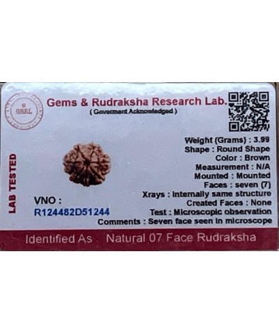 AwakenYourKundalini's Natural Rudraksha Beads (1,2,3,4,5,6,7,8,9,10,11,12,13,14 Faced) Original Rudraksha Beads Himalayan Ori...